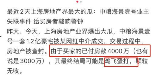 网红大瓜小说免费阅读,免费阅读背后的秘密与诱惑