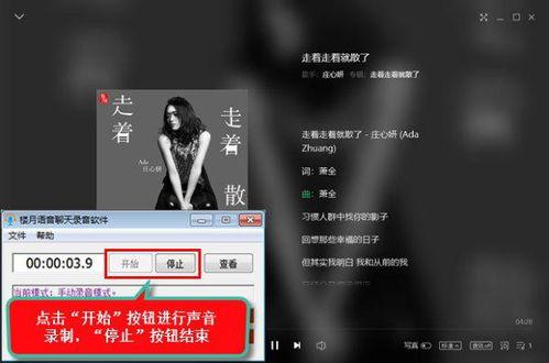 黑料网永久免费网站电脑网页版 网红黑料黑料正能量,黑料、正能量交织的复杂世界